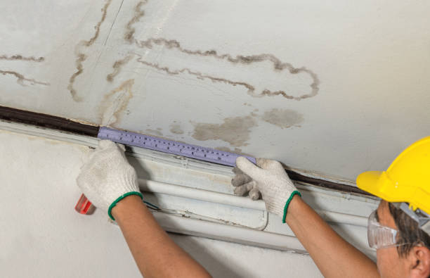 Reliable Water Damage contractor in Orono, ME by Water Damage Irwin